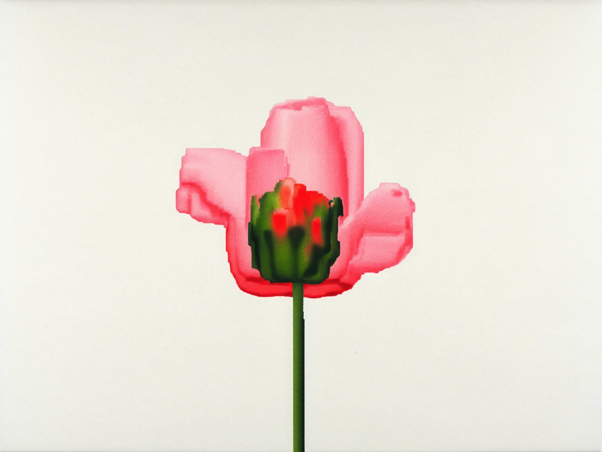 Spectramnesia Animated 04